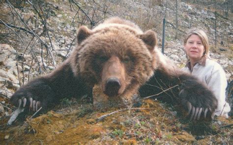 Grizzly Hunting in BC, Guided Hunts for Grizzly Bear Circle M ...