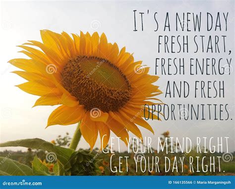 Inspirational Motivational Quote - it is a New Day, Fresh Start, Fresh Energy, and Fresh ...