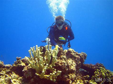 海面下的深蓝诱惑——塞班岛潜水攻略