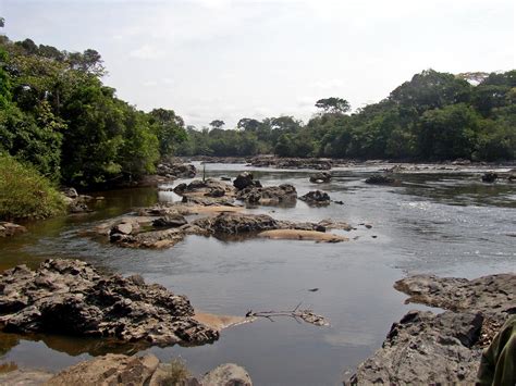 File:Epulu Okapi Reserve.jpg - Wikipedia, the free encyclopedia