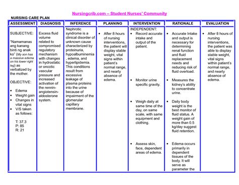 Nursing Nursing Care Plan Ncp Nanda Nursing Care Plan Examples | Images ...