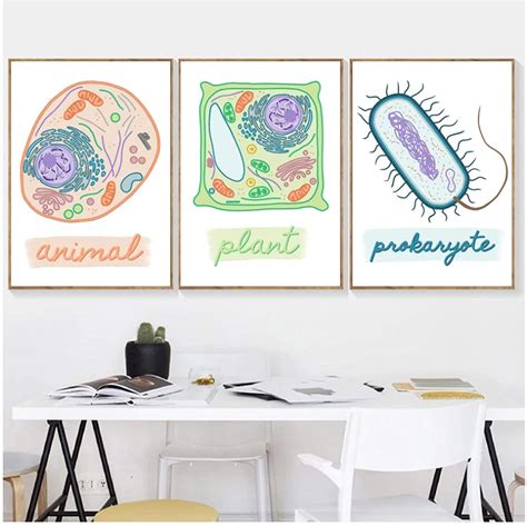 Biology Colorful Cell Type Wall Art - Do You Even Nerd?