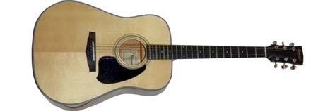 IBANEZ PF10 acoustic guitars