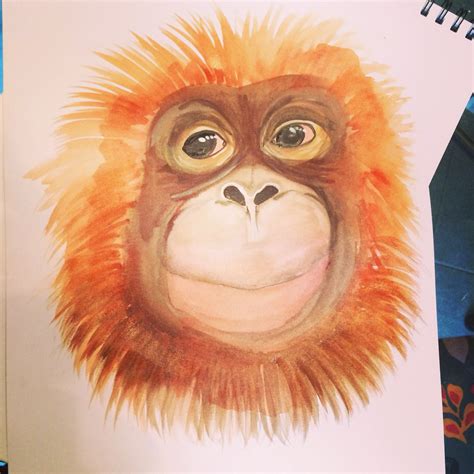 Orangutan by Robyn Hall | Animal art, Drawings, Orangutan