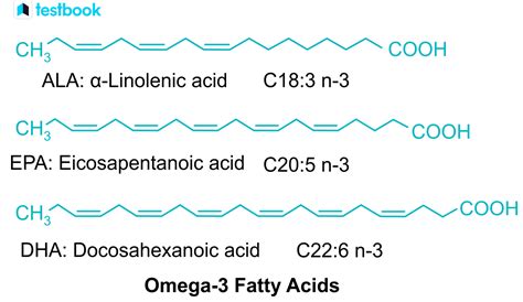 Omega 3 Polyunsaturated Fatty Acid Structure | My XXX Hot Girl