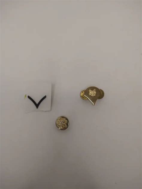 UNITED STATES ARMY Insignia of Rank Gold Tone Eagle Lapel Pins/ Brooch & Button $5.00 - PicClick