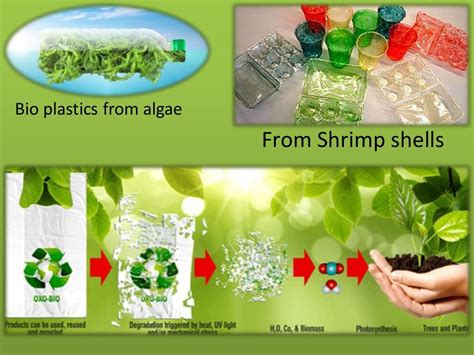 Bioplastics - biodegradable Plastics