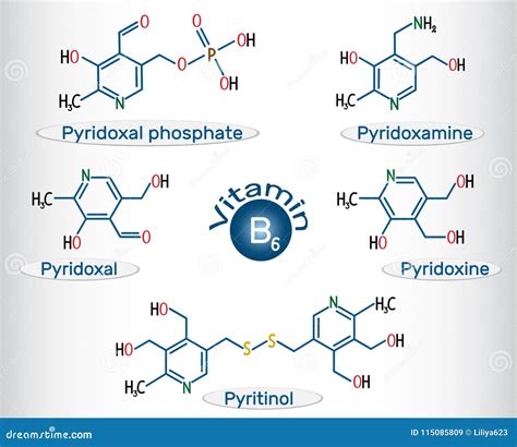 Fosfato Del Piridoxal De La Vitamina B6, Piridoxamina, Piridoxal, Pyri ...