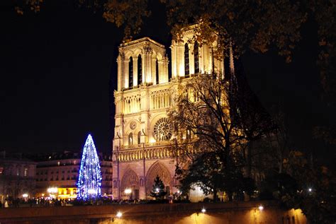 The Christmas Tree of Notre-Dame Cathedral - French Moments