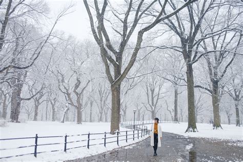 A New York Winter Wonderland Photo Diary — Sophia Liu | Studio Sophy