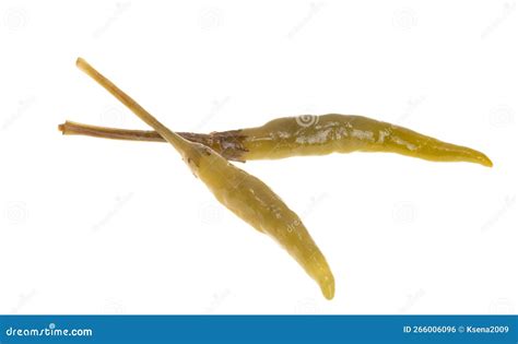 Green Chili Pepper Isolated Stock Photo - Image of cayenne, chili: 266006096