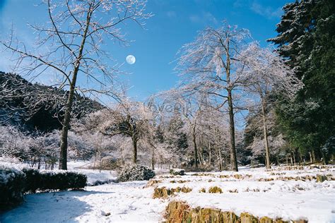 Lushan Mountain Picture And HD Photos | Free Download On Lovepik