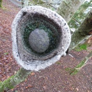 Rydal Hall Sculpture Trail. | sunshine and celandines