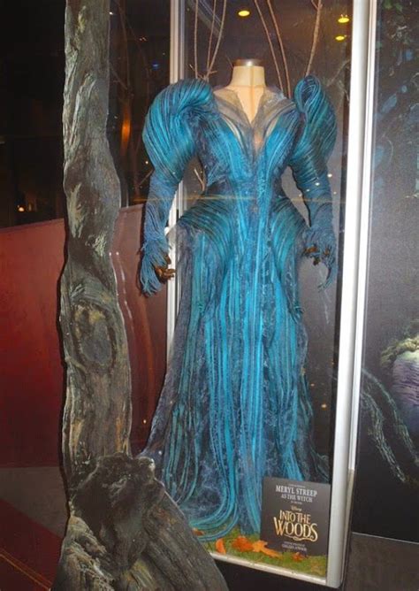 Meryl Streep Into the Woods blue Witch costume, designed by Oscar winner Colleen Atwood ...