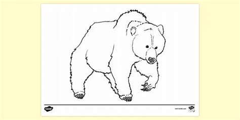 Bear Hunt Coloring Pages Pics | The Best Porn Website