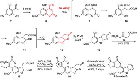 Frontiers | Advances in the Total Synthesis of Aflatoxins