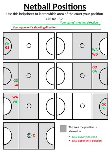 Netball Positions Helpsheet | Teaching Resources