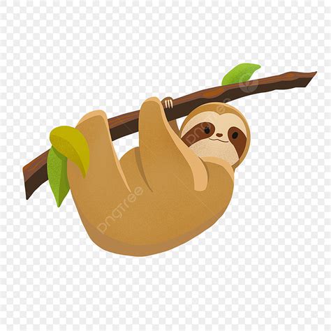 Cute Sloth Clipart Hd PNG, Cartoon Style Cute Child Sloth Green Leaf Branch Sloth Clipart, Sloth ...