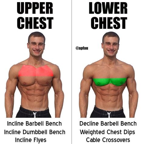 exercises for the chest | Chest workouts, Exercise, Workout