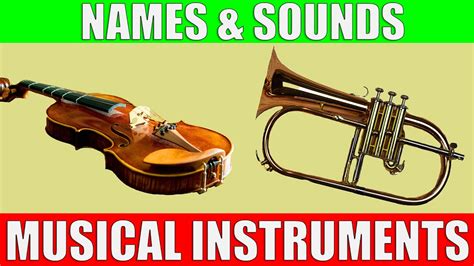 Musical Instruments Names and Sounds for Kids to Learn - YouTube Music