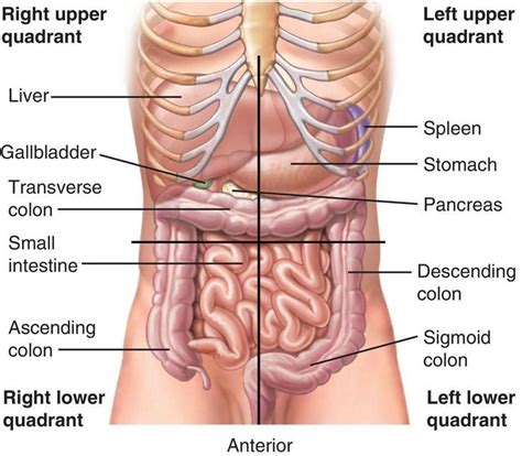 Abdominal Pain Assessment | MedicTests