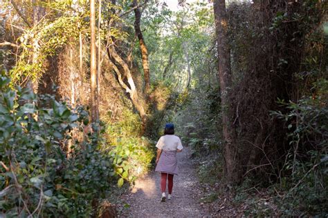 Discover North Haven | Discovering the South of Port Macquarie