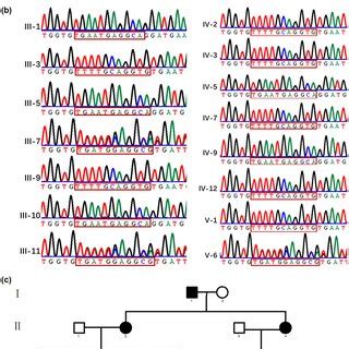 Causative variant detection in this family. (a) A map of the gene ...