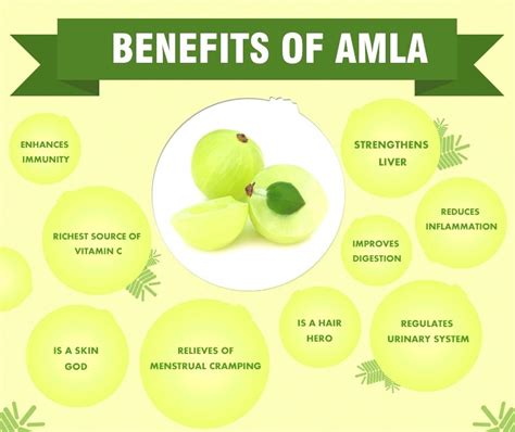 Top 10 Amazing Benefits Of Amla - The Indian Gooseberry