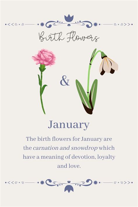 a card with flowers on it and the words birth flowers and january written in blue