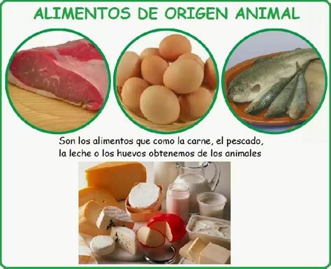 Para niños: Dibujos y Figuras de Alimentos de Origen Animal | Alimentos, Clasificacion de los ...