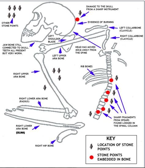 The Mystery of Narrabeen Man (S) | Create WebQuest