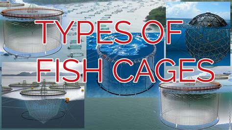 How to start a fish cage farming | Types of cages in aquaculture - YouTube