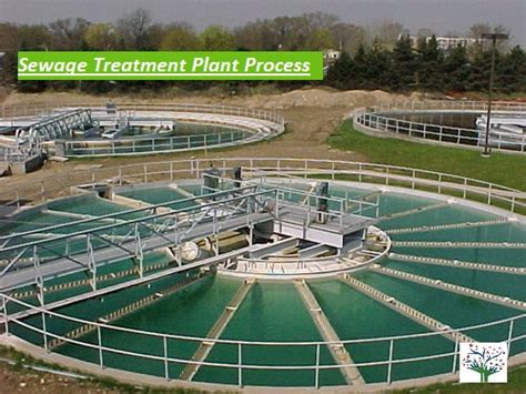 Sewage Treatment Plant Process STP - Perfect Pollucon Services