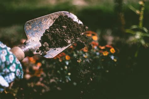 Adaptive Digging Tools for Gardening - Kitchen Garden Gnome