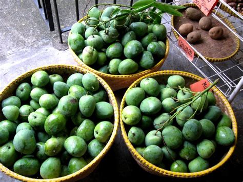 Philippine Indian Green Mango Variety from Nueva Ecija, PH