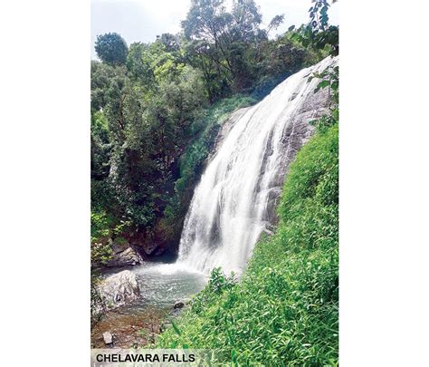 Kodagu waterfalls roar in full glory - Star of Mysore