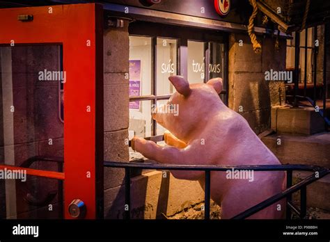 little crazy pig restaurant in quebec city canada Stock Photo - Alamy