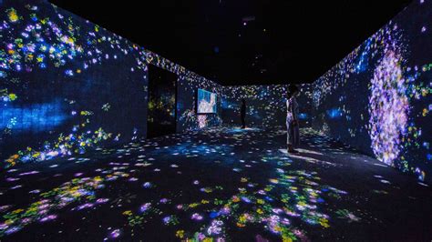 Pace Art + Technology program launches with teamlab and Random International - FAD Magazine