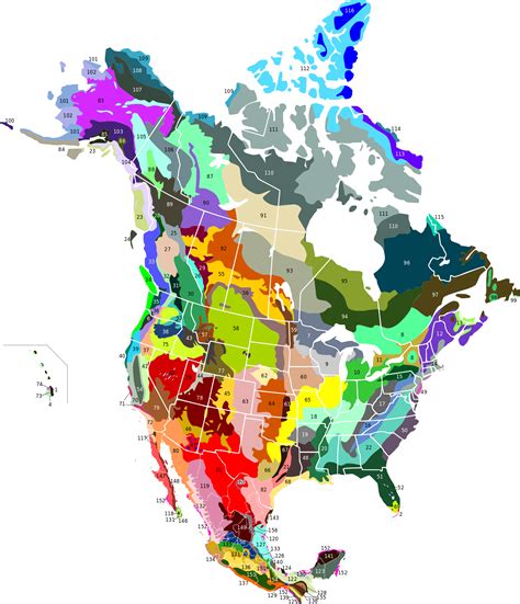 Terrestrial Ecoregions of North America - Vivid Maps