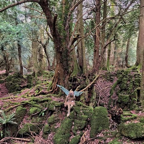 GETTING LOST IN NATURE AT PUZZLEWOOD