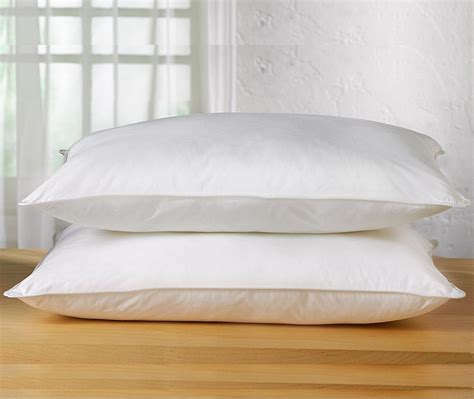 Buy Down Feather Pillow 30/70 online in India. Best prices, Free shipping