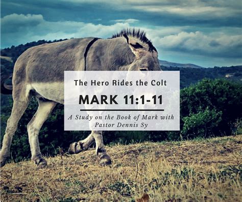 Mark 11:1-11 The Hero Rides the Colt - Manhood, Leadership and ...