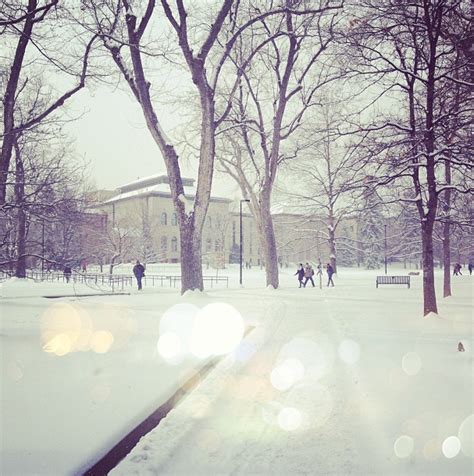 University of Colorado Boulder campus during the winter. Norlin Quad. | Colorado college ...