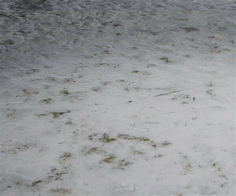 ArtStation - Snowy Ground PBR Texture | Resources