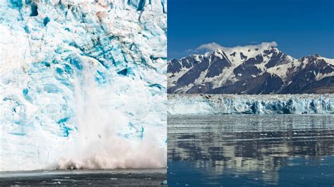 6 Hubbard Glacier Facts: A Breathtaking Natural Wonder in Alaska - Online Field Guide