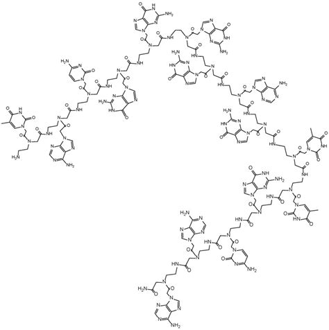 Illustrates a schematized structure of the peptide nucleic acid with... | Download Scientific ...