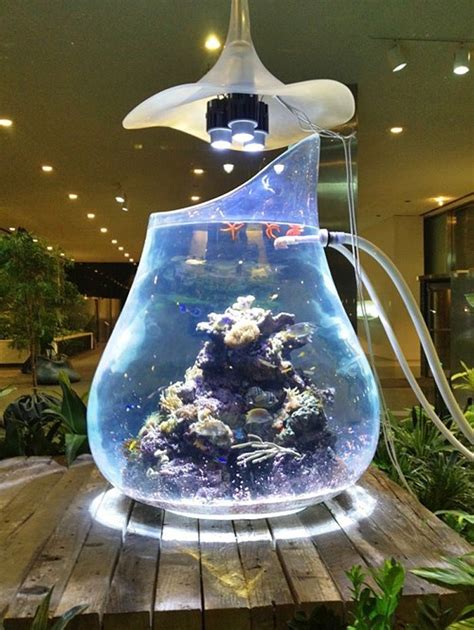 48+ Amazing Fish Tanks | Cool fish tanks, Amazing aquariums, Unique ...