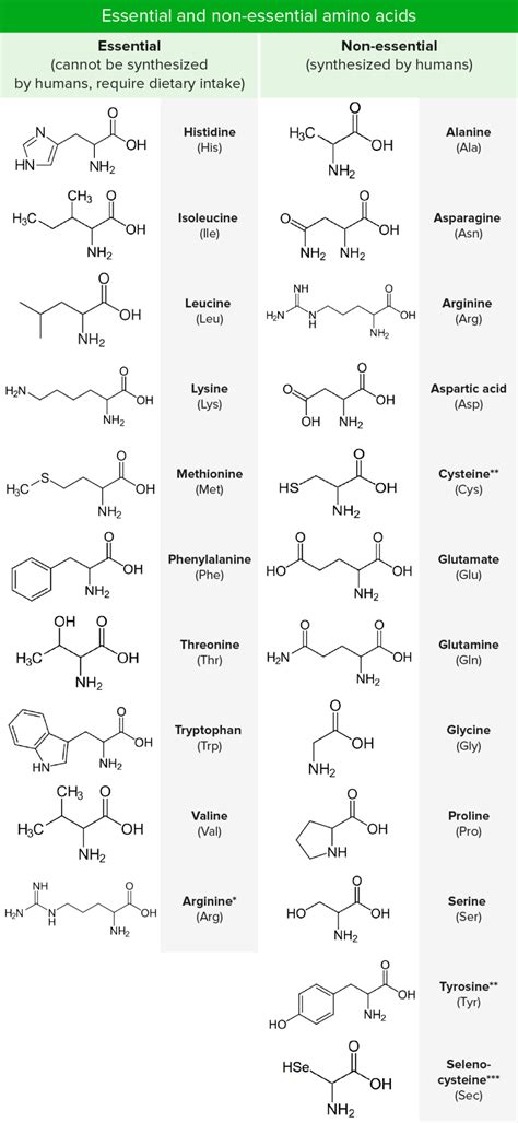 Amino Acid Chart Structure