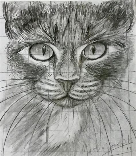 Black Cat Pencil Drawing | ubicaciondepersonas.cdmx.gob.mx