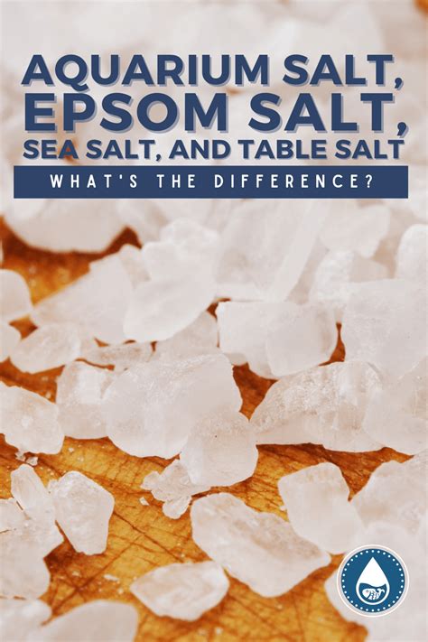 Aquarium Salt Vs Epsom Salt Vs Sea Salt Vs Table Salt